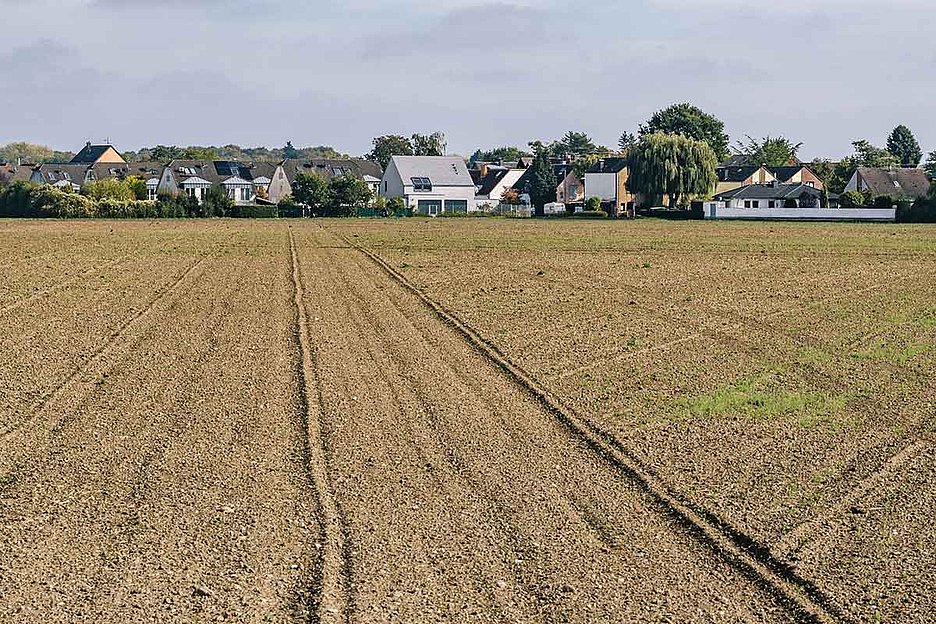 Foto: Susanne Troll / Stadtrevue Noch unversiegelt: Acker in Rondorf-Nordwest