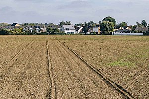 Noch unversiegelt: Acker in Rondorf-Nordwest  