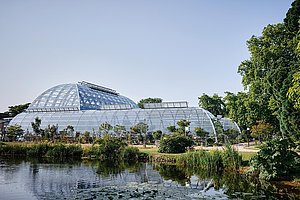 Die Vorfreude hält noch ein Weilchen an: Neue Schaugewächshäuser im Botanischen Garten