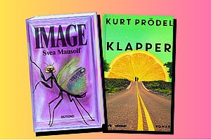 Machen sich auf Insta und im Regal gut: Debütromane von Svea Mausolf und Kurt Prödel  