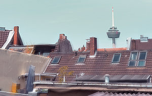Köln vor dem Hitzesommer