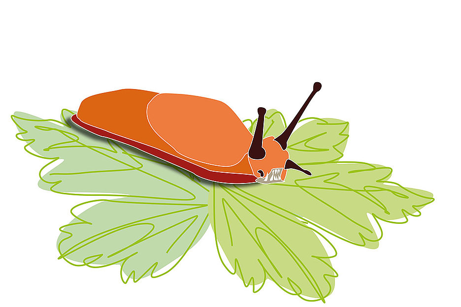 Illustration: Elke Schwirtheim