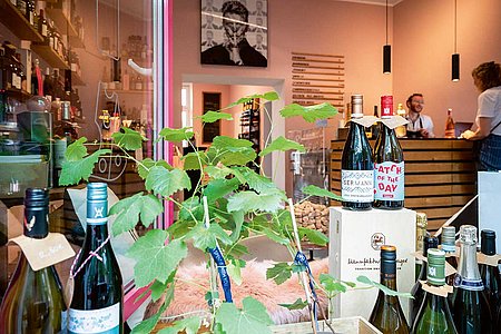 »Ich frag mich nur, ob ich es zu hübsch gemacht habe«: Der neue »Kiosque« an der Beethovenstraße  