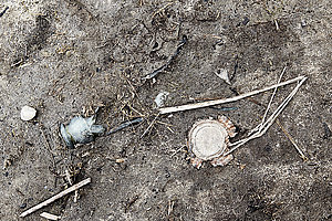 Während der Müll am Ufer eingesammelt werden kann, spült der Rhein jährlich eine Million Kilogramm Müll in die Nordsee