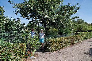 Unruhiger Sommer zwischen Paprika und Kürbissen: Eheleute Waskow in ihrem Kleingarten  