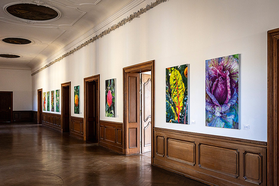 Schloss Dyck, 41363 Jüchen, Di–Fr 14–18 Uhr, Sa/So/Feiertage 12–18 Uhr, Tagesticket 12,50 Euro »GARTENFOKUS — Mittsommer Gärten« bis 18.10. Ausstellung Gartenfokus mit Fotos von Marion Nickig (© Schloss_Dyck)  