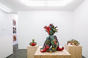 Auf den Vogel gekommen: Installationsansicht aus der Gaa Gallery 