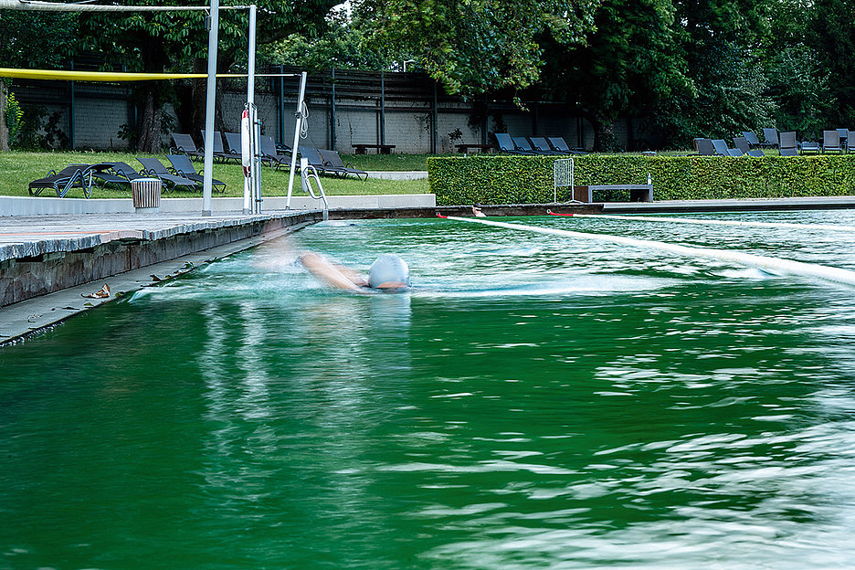 »Wir haben hier quasi einen kontrollierten Badesee«: Naturbadeteich im Lentpark (Alle Fotos: Dörthe Boxberg / Stadtrevue)