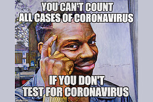 Christine Wang, aus »Corona Memes«, 2020