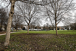 Lis-Böhle-Park