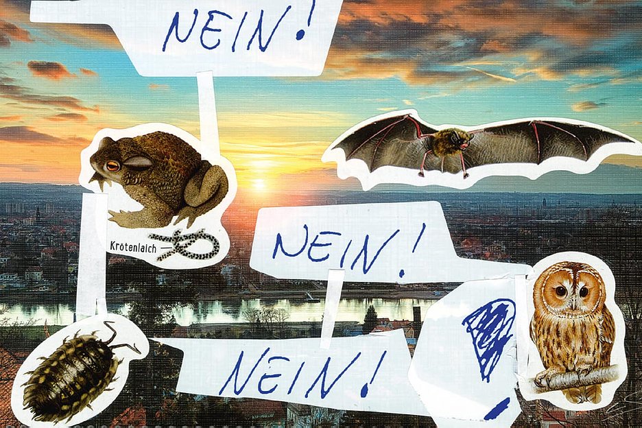 Copyright: Kasper König & StrzeleckiBooks