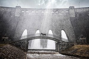 Gewaltige Eselsbrücke: »Eo« von Jerzy Skolimowski