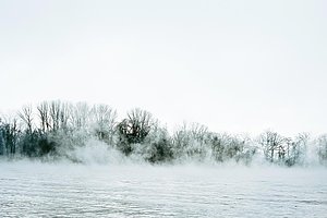 Axel Hütte, Rheingau / Nebel I, © VG Bildkunst Bonn, 2024