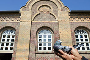 Vorne Taube, hinten Synagoge: Olaf Nicolai, Ein ungedeuteter Traum ist wie ein ungelesener Brief, 2025, Synagoge Stommeln