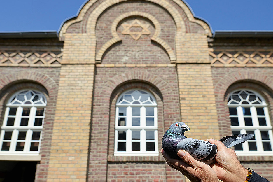 VG Bild-Kunst, Bonn, 2025, Foto: Roman Mensing Vorne Taube, hinten Synagoge: Olaf Nicolai, Ein ungedeuteter Traum ist wie ein ungelesener Brief, 2025, Synagoge Stommeln