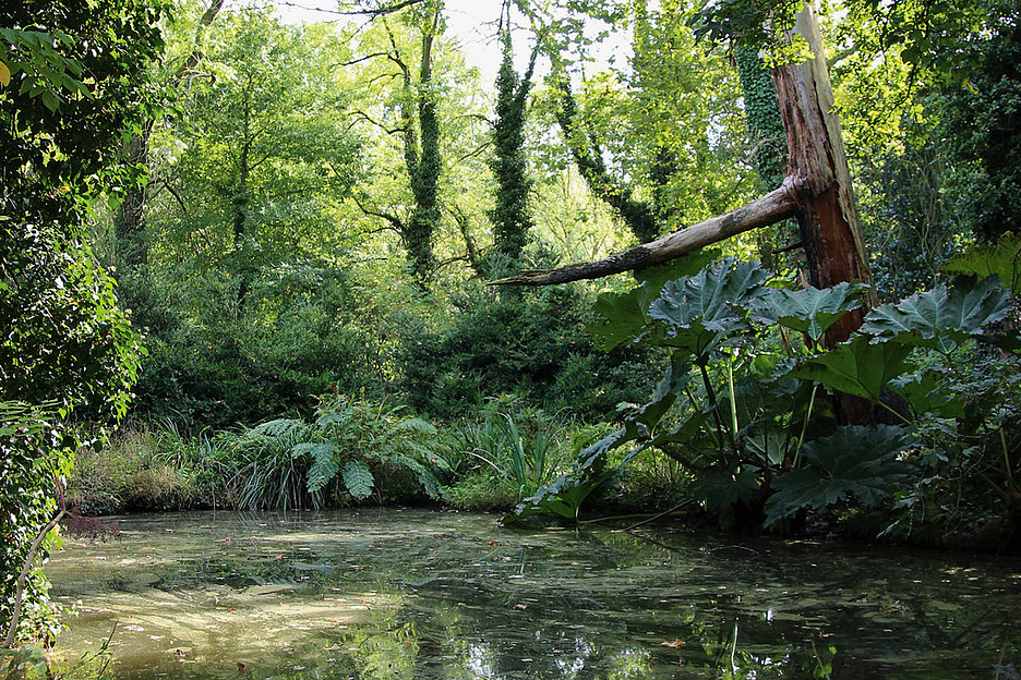 Museum Insel Hombroich, Alter Park, (© Stiftung Insel Hombroich, Foto: Jennifer Eckert)