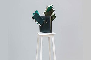 Peter Wüthrich, Cactus Succulentus Literally, 2015, © der Künstler 