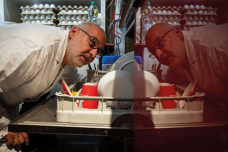 Alles unter Kontrolle: Oliver Maier mit geschultem Blick bei der Arbeit