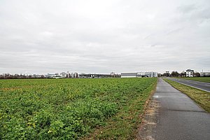 Der begehrteste Acker der Stadt: In Marsdorf sollen FC-Leistungszentrum und Frischezentrum entstehen