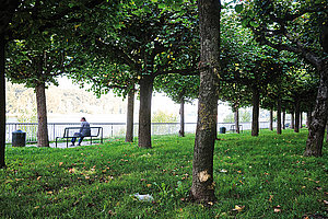 Wo Porz Natur ist, sieht‘s noch am besten aus: Rheinuferpromenade am Leinpfad 