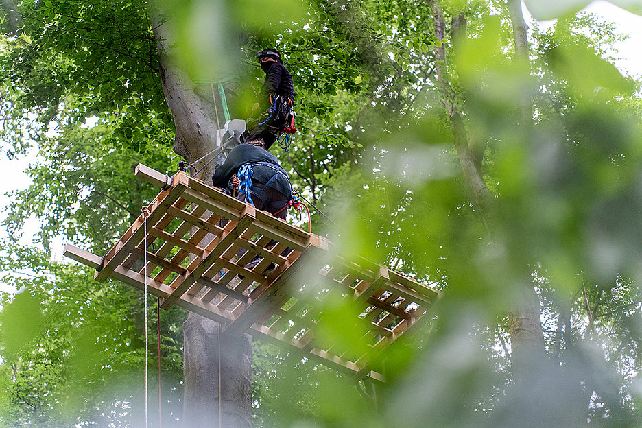 Foto: NC David Block Baumhaus gefällt, Baum steht noch: Besetzer*innen im Gremberger Wäldchen, Foto: NC David Block