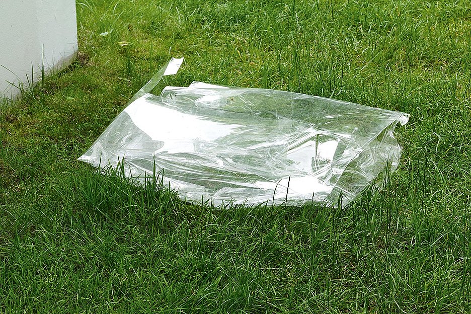 Foto: Mareike Tocha Kunst im Gras: Olga Balemas »Loops« courtesy of the artist; Trautwein Herleth, Berlin; Bridget Donahue, New York; Croy Nielsen, Wien; Galerie Fons Welters, Amsterdam; Hannah Hoffman, Los Angeles; © Stiftung Skulpturenpark Köln, 2024, Foto: Mareike T