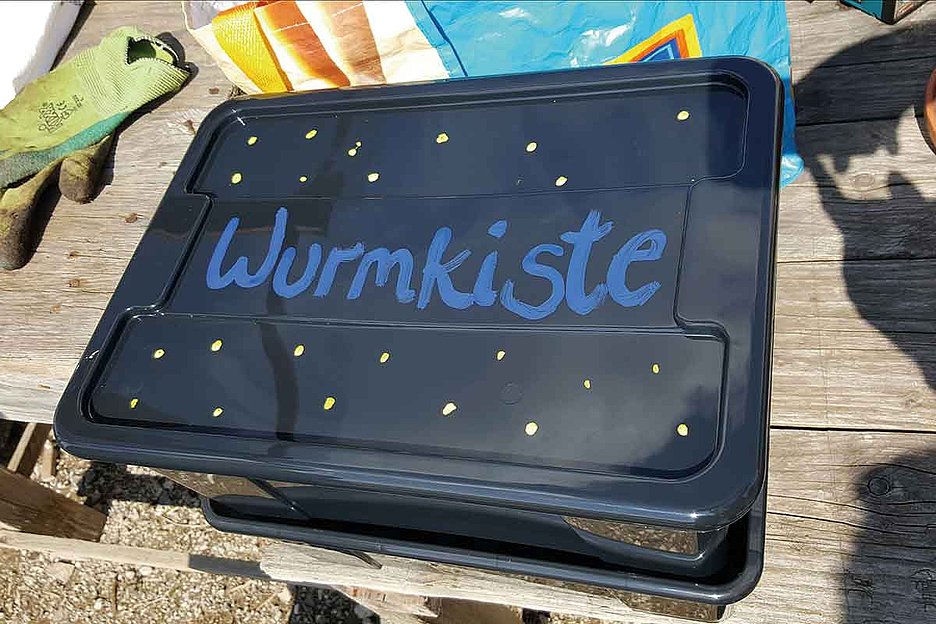 Foto: Marcel Hövelmann Das Zuhause von »Rohkostveganern«: In Wurmkisten leben mehrere hundert Kompostwürmer, Foto: Marcel Hövelmann