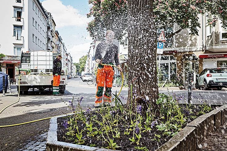 Wasser marsch: Mitarbeiter derStadt Köln gießen Bäume an der Merowinger Straße in der Südstadt 