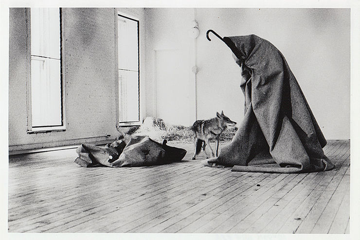 Aktion »I like America and America likes me«, mit lebendem Koyote,  René Block Gallery, New York, 1974 | Foto: Caroline Tisdall, VG Bild-Kunst Bonn 2021