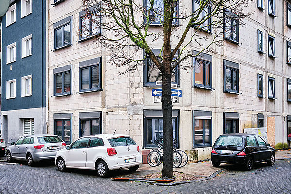 »Wertig für die Stadtgesellschaft«: Straßenbaum in Köln 