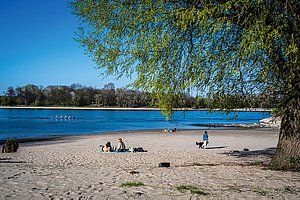 Der linksrheinische Kölner Süden