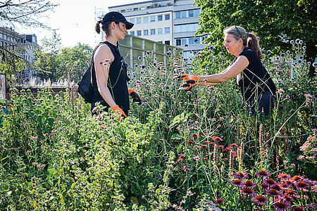 Lässt den Ebertplatz erblühen: Die AG Begrünung von der Initiative »Unser Ebertplatz« bei der Beetpflege  (Foto: Thomas Schäkel / Stadtrevue)