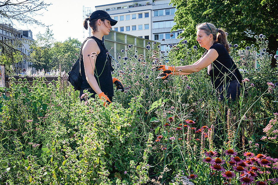Lässt den Ebertplatz erblühen: Die AG Begrünung von der Initiative »Unser Ebertplatz« bei der Beetpflege (Foto: Thomas Schäkel / Stadtrevue)