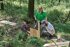 Unerwünschtes Erbe: Arbeiten zur Renaturierung im Dünnwalder Wald  Foto: BUND