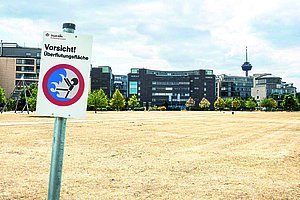 Vertrocknete Grasflächen sehnen sich nach Regen — aber nicht zuviel. 