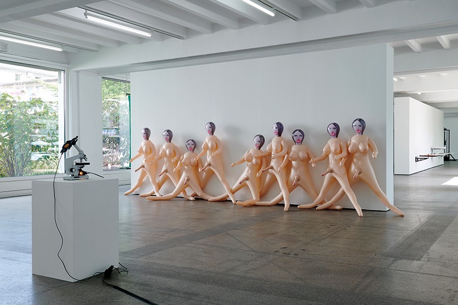 Foto: Mareika Tocha; courtesy: Galerie Barbara Weiss Puppies Puppies, »Sex Dolls (Trans)«, 2019, 9 aufblasbare Sexpuppen