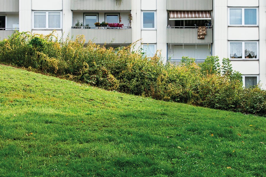 Foto: Dörthe Boxberg