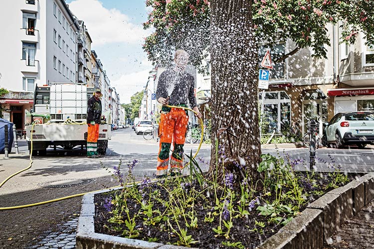 Foto: Thomas Schäkel Wasser marsch: Mitarbeiter derStadt Köln gießen Bäume an der Merowinger Straße in der Südstadt