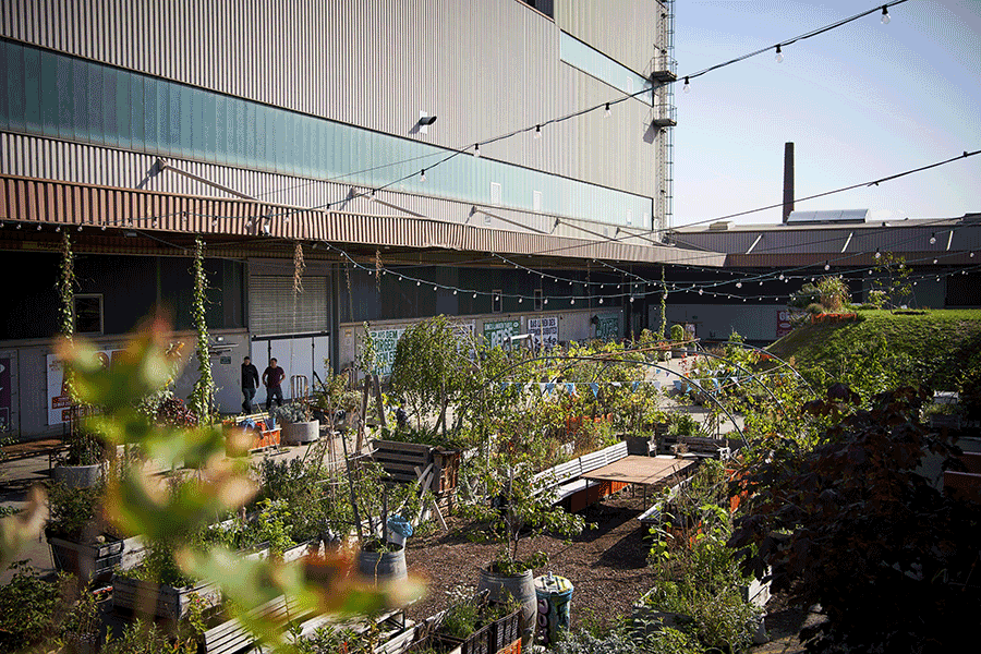 Grüner wird’s noch: Carlsgarten am Schauspiel Köln