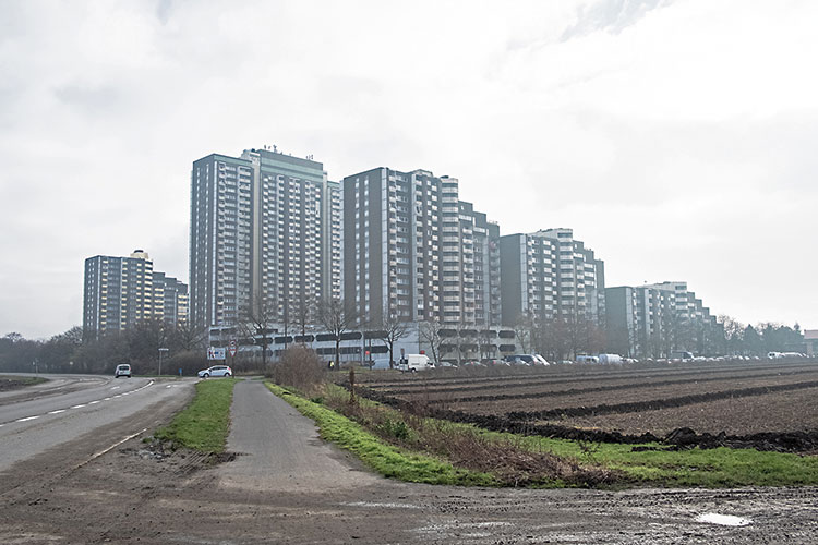 Foto: Tom Zelger / Stadtrevue Hier könnte bald Ihr Haus stehen: Hochhaussiedlung Kölnberg in Meschenich