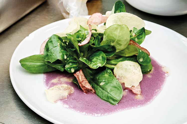 Feldsalat / Lila Kartoffeldressing / Chips