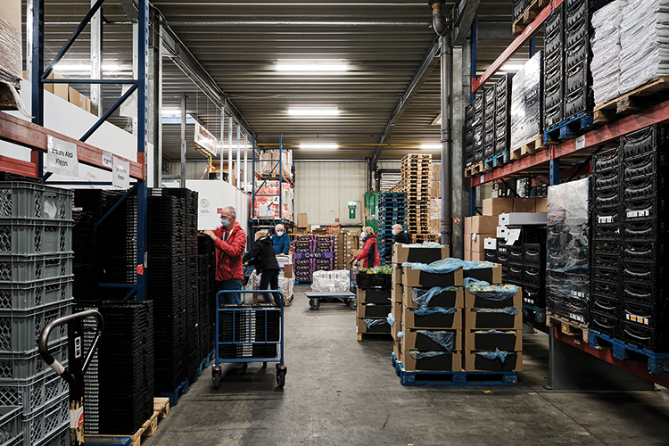 ERNÄHRUNG: Die Grünen wollen eine Ernährungswende und mehr regionale Versorgung. Doch die CDU sperrt sich gegen ein »Frischezentrum« in Marsdorf