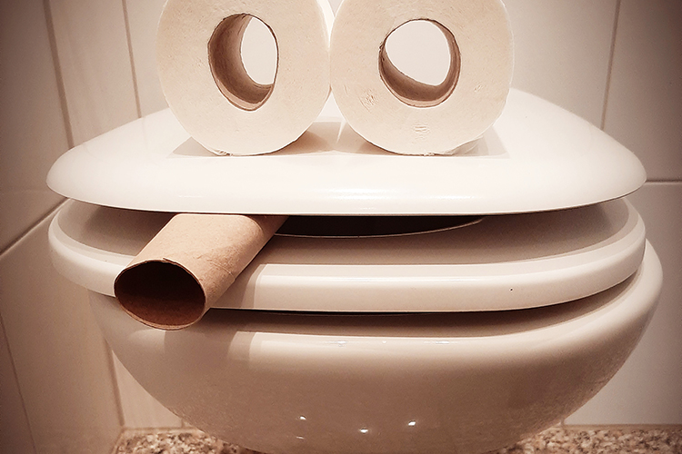 Foto: Elke Schwirtheim Nicht immer selbstverständlich – Klopapier