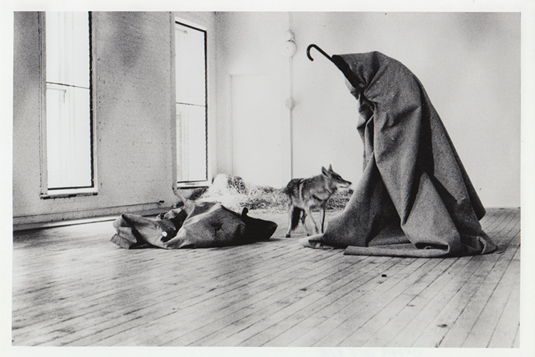 Foto: Caroline Tisdall Aktion »I like America and America likes me«, mit lebendem Koyote, René Block Gallery, New York, 1974 | Foto: Caroline Tisdall, VG Bild-Kunst Bonn 2021
