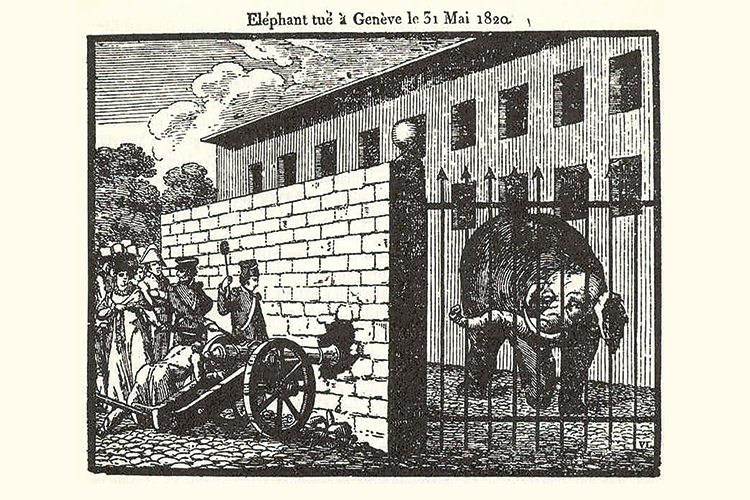 Foto: Wikimedia Commons Foto: Wikimedia Commons