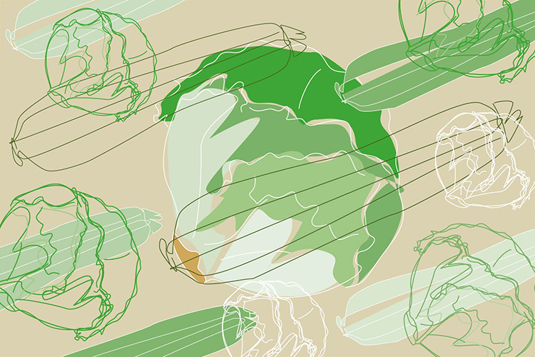 Illustration: Elke Schwirtheim Gemüse, Gemüse, Gemüse