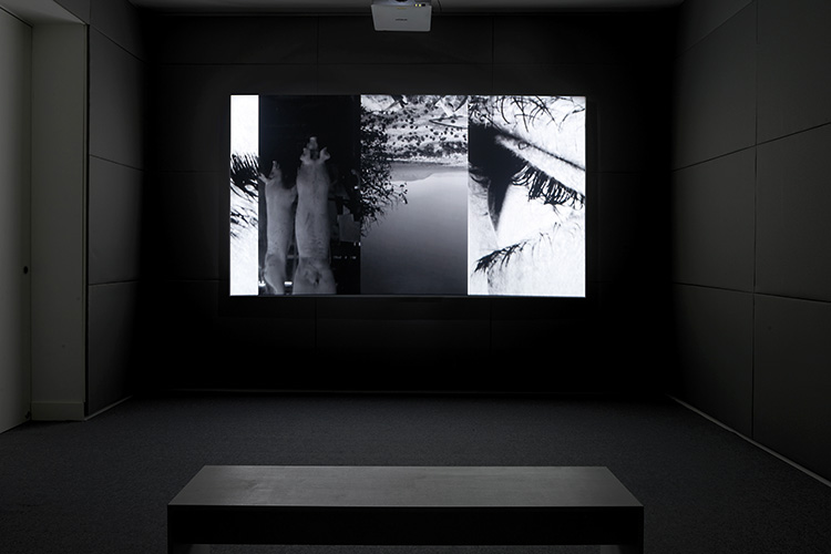 Foto: Simon Vogel, Köln / Cologne James Richards, »Radio at Night«, 2015, Digitales Video, Farbe, Ton, 8:10 min © James Richards, Cabinet, London, Galerie Isabella Bortolozzi, Berlin, Rodeo, London / Piraeus; Foto: Simon Vogel, Köln / Cologne