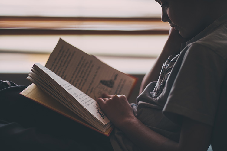 Foto: Pixabay Liebe, Dackelfreundschaft und Revolution auf dem Spielplatz: Neue Bücher für 2022, Foto: Pixabay