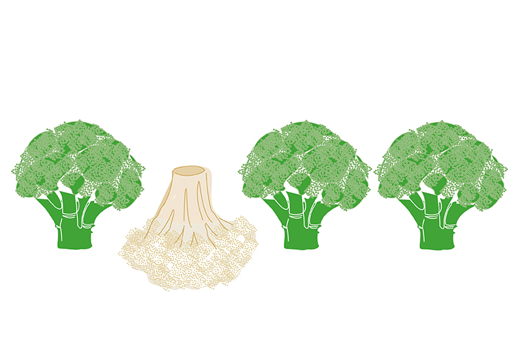Illustration: Elke Schwirtheim