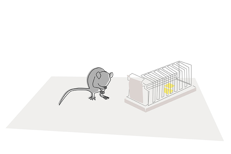 Illustration: Elke Schwirtheim